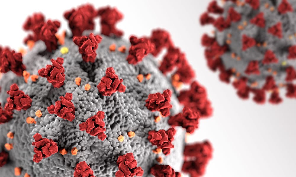 3-D image of a coronavirus 3-D image of a coronavirus
